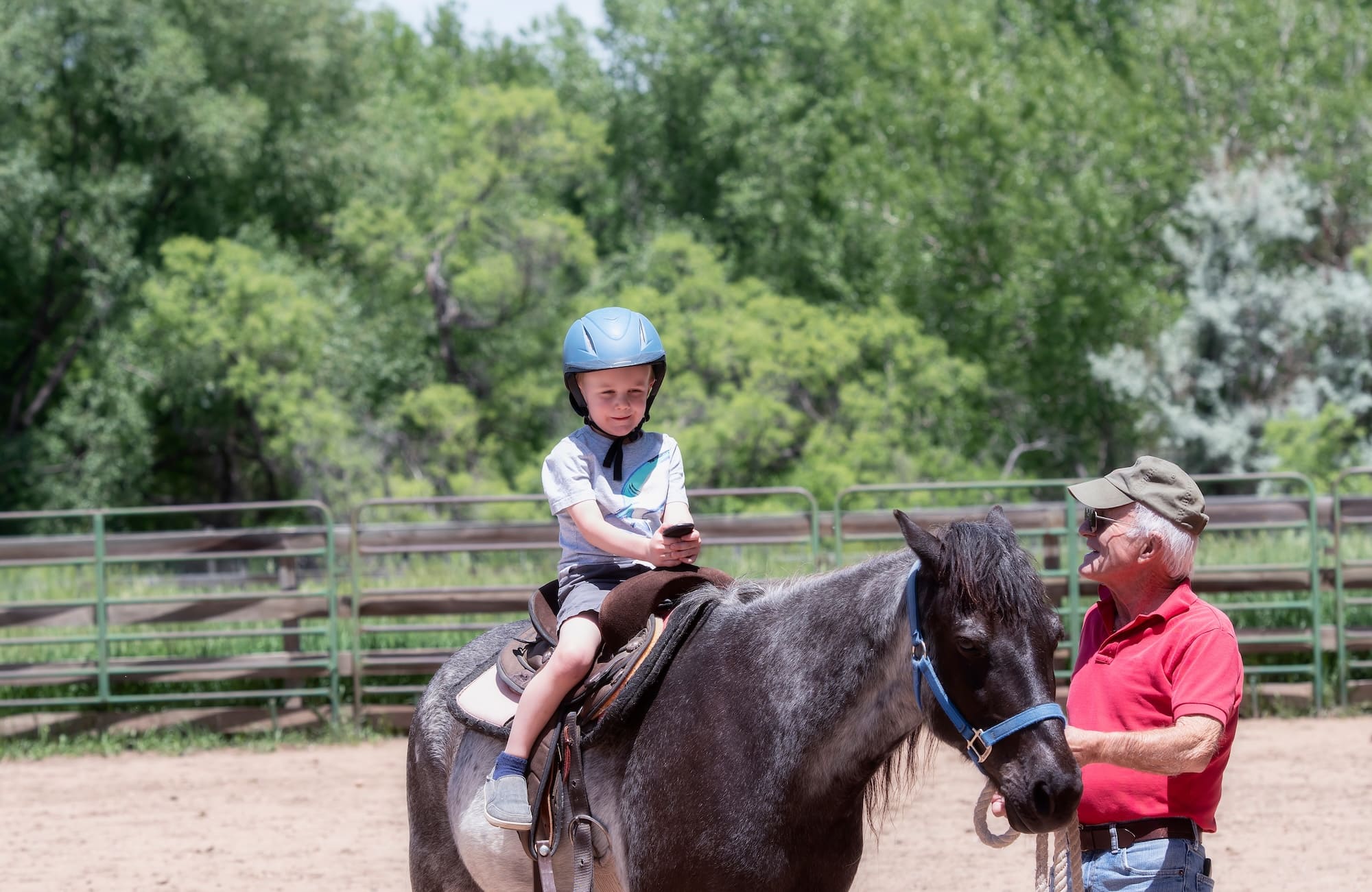 ferme équestre enfants équitation haute loire