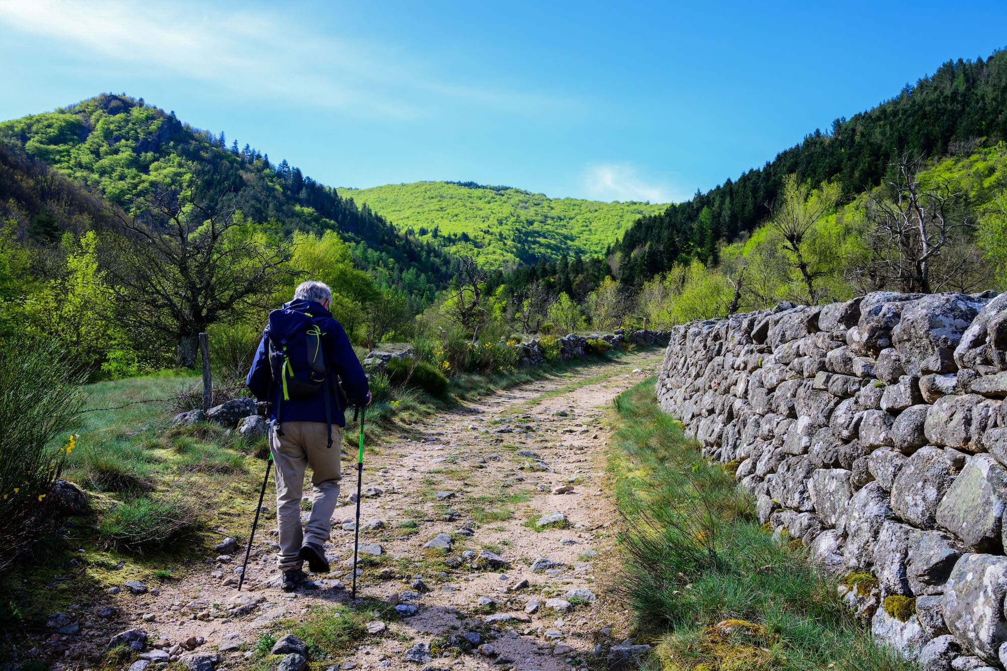 Le chemin de Stevenson