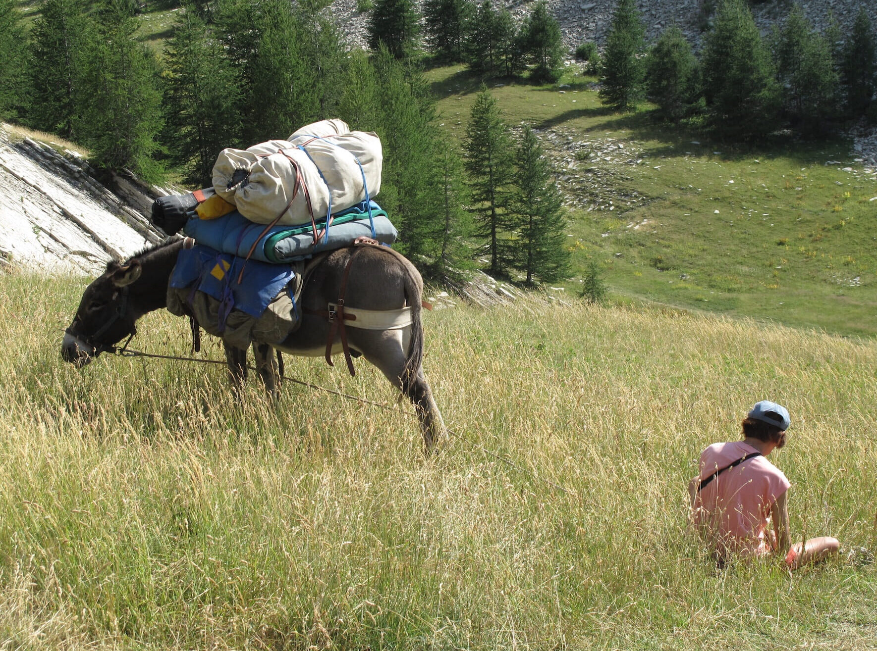 randonnée avec un âne chemin stevenson conseils
